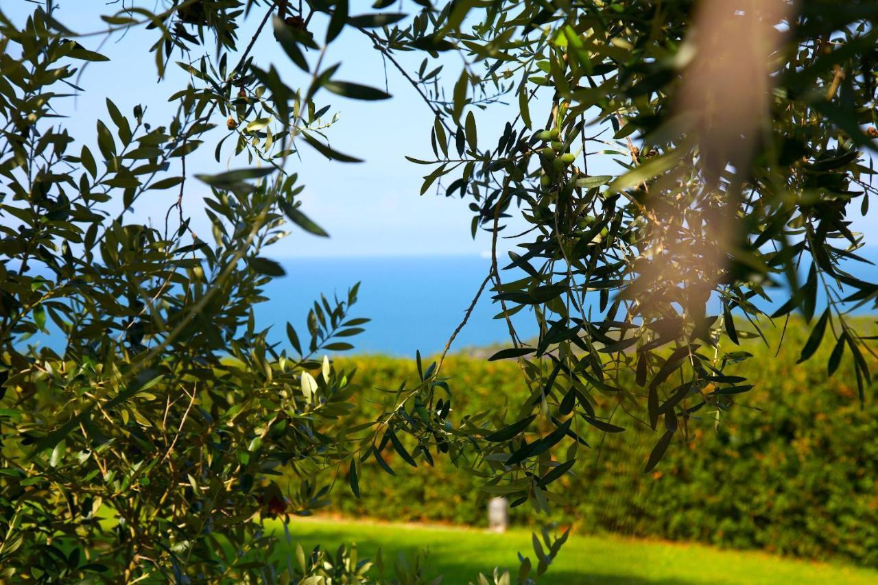 Casale Del Mare Villa Castiglioncello Kültér fotó