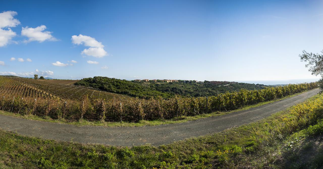 Casale Del Mare Villa Castiglioncello Kültér fotó