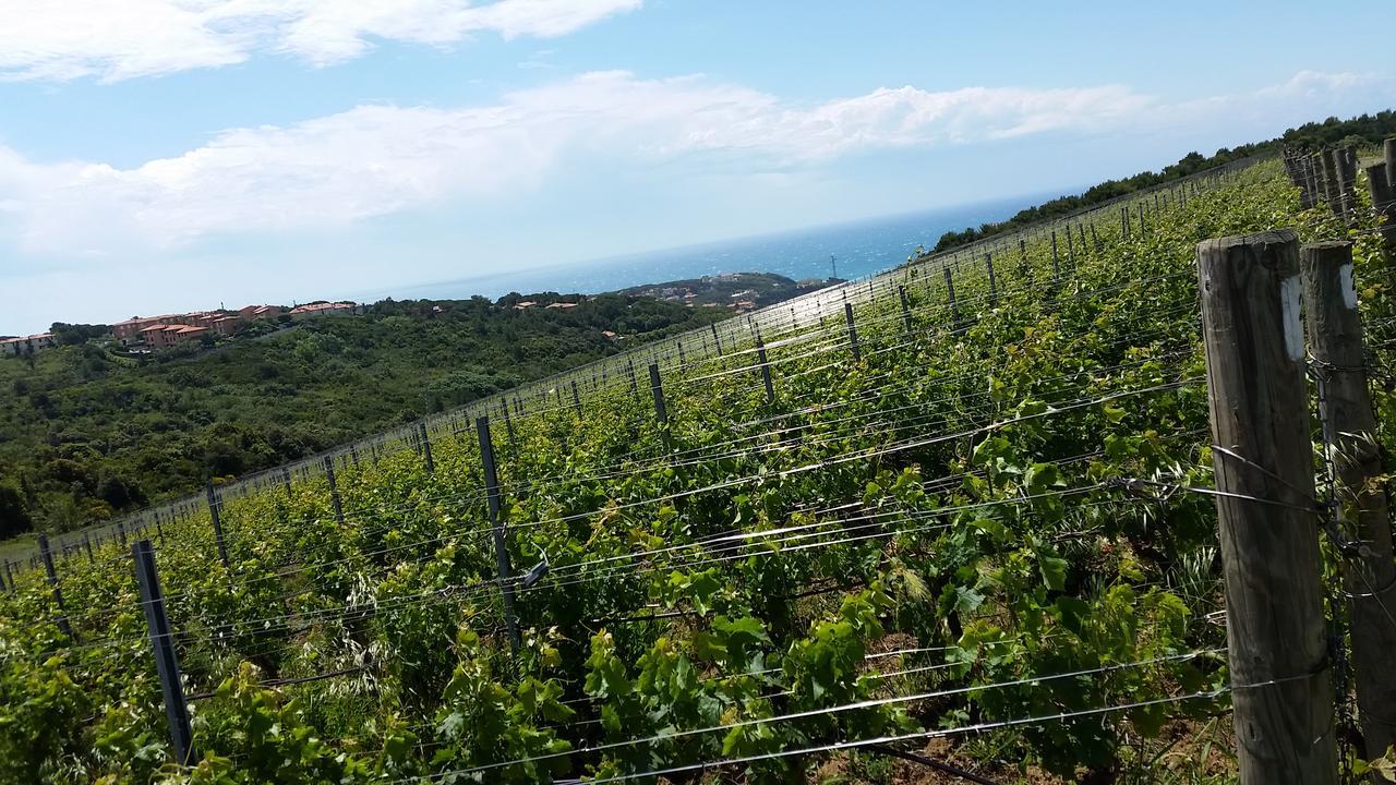 Casale Del Mare Villa Castiglioncello Kültér fotó